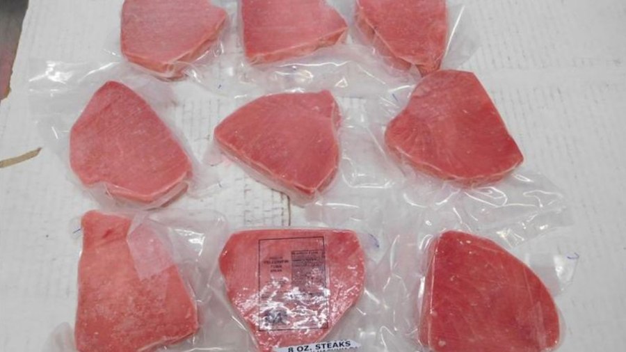 tuna_314189