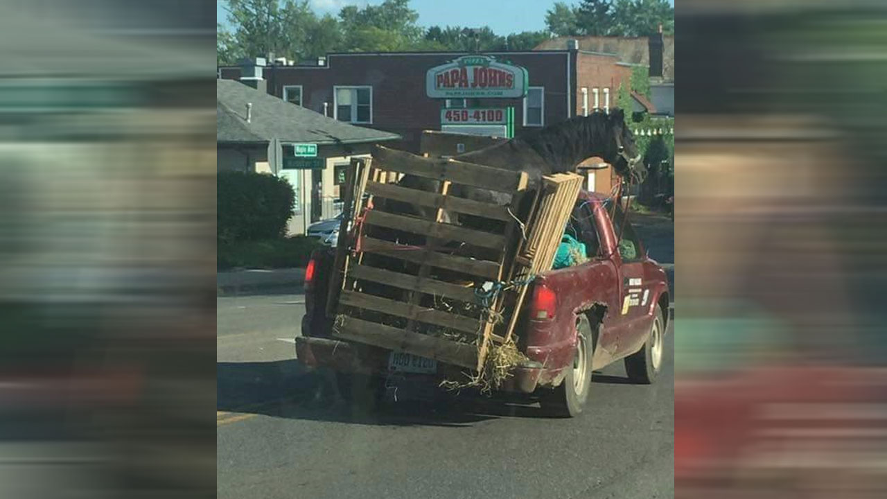 zanesville_315379