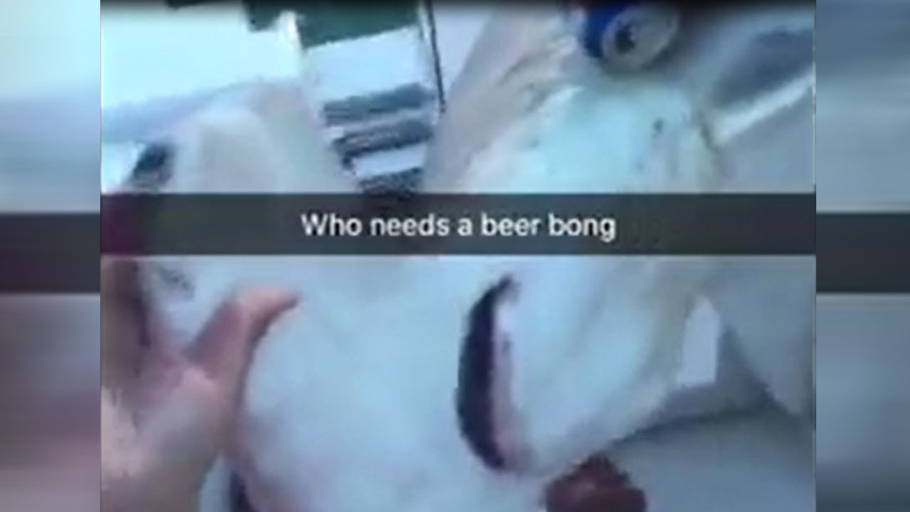 beer-bong_339942