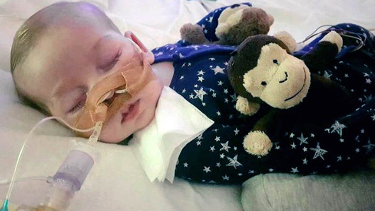 charliegard_337268
