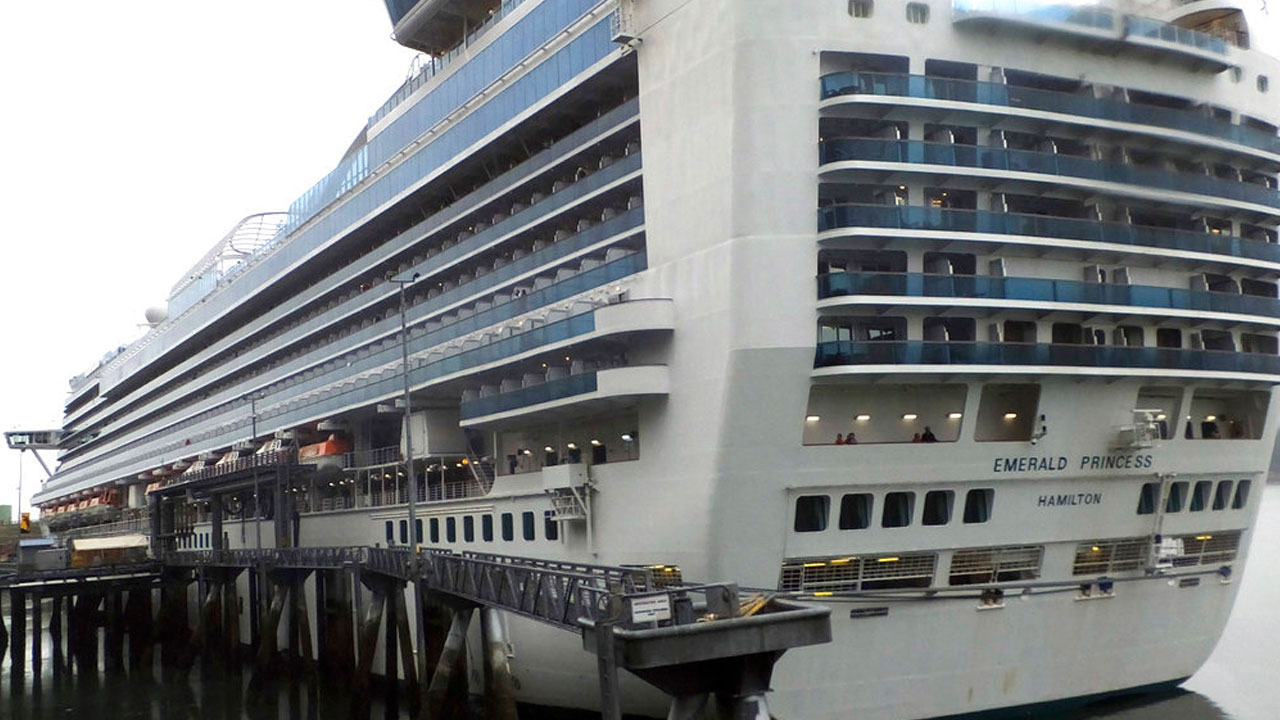 cruise_339666