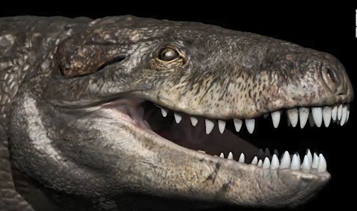 dinosaur_332127
