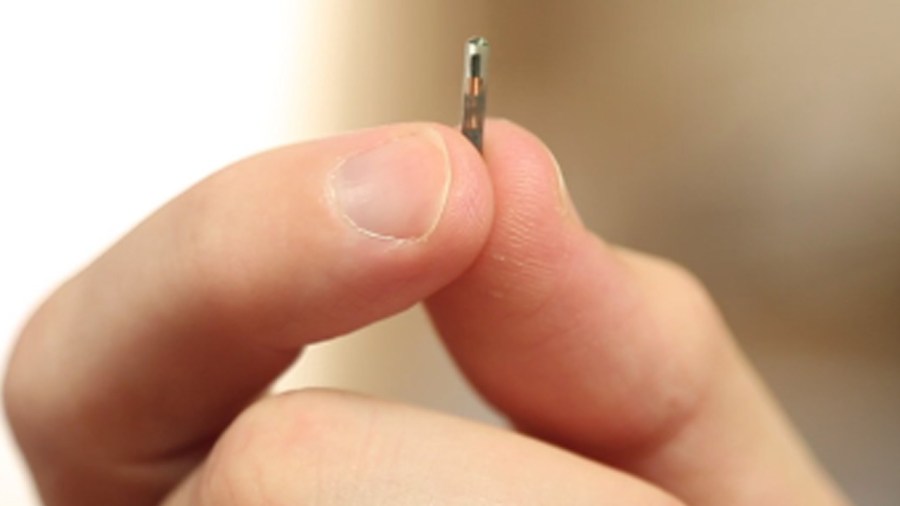 microchip_338883