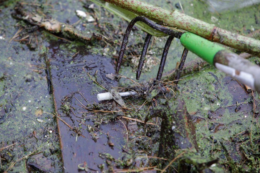 Needles Everywhere_337427