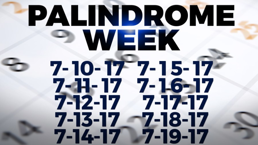 palindrome-weekweb_334772