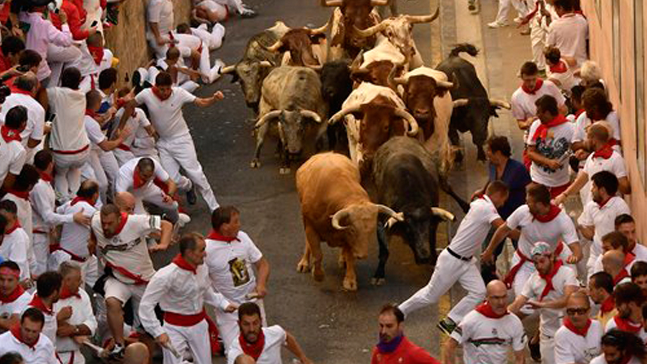 runningbulls_333365