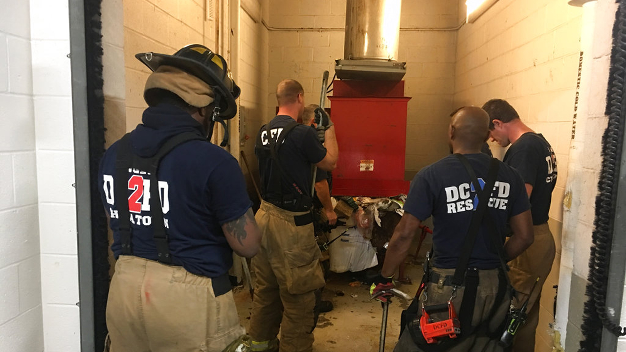 ODD--Trash Chute Rescue_338697