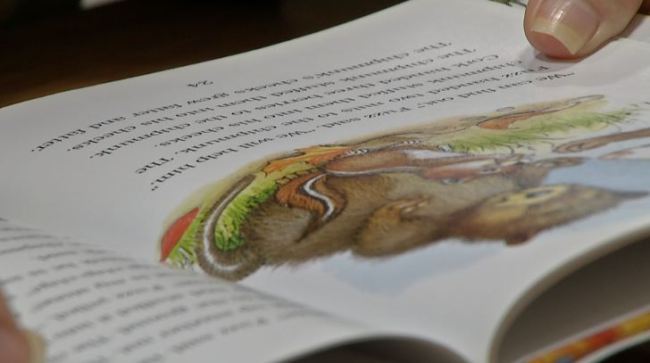 book_342232