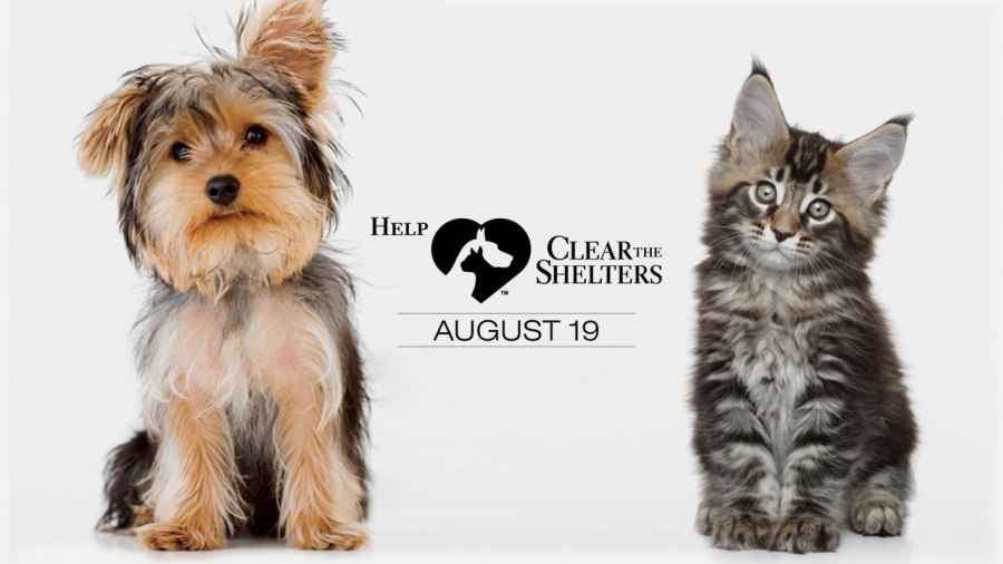 clear-the-shelters-image_340929