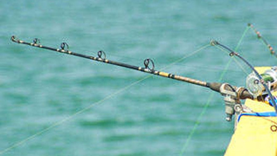 fishing-pole_315300