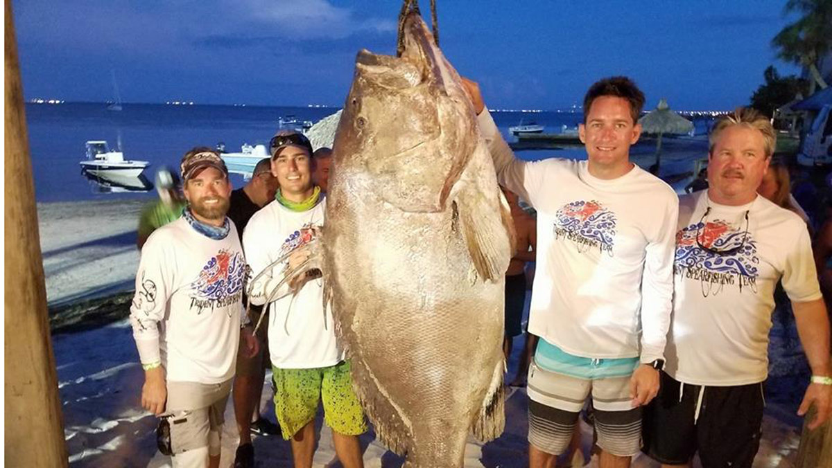 grouper1_345449