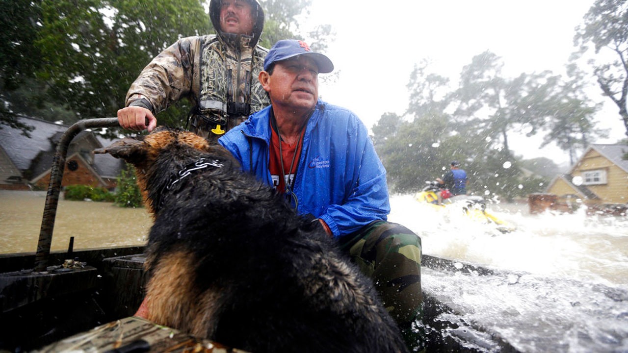harvey22_347018