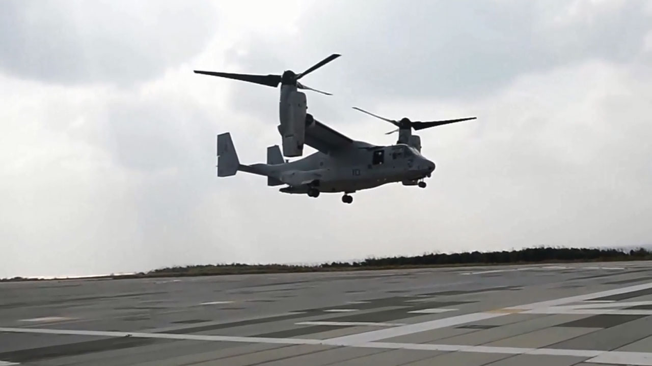 osprey_341752
