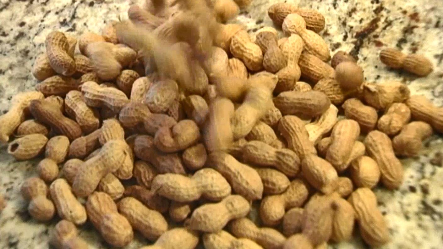 peanuts_344569