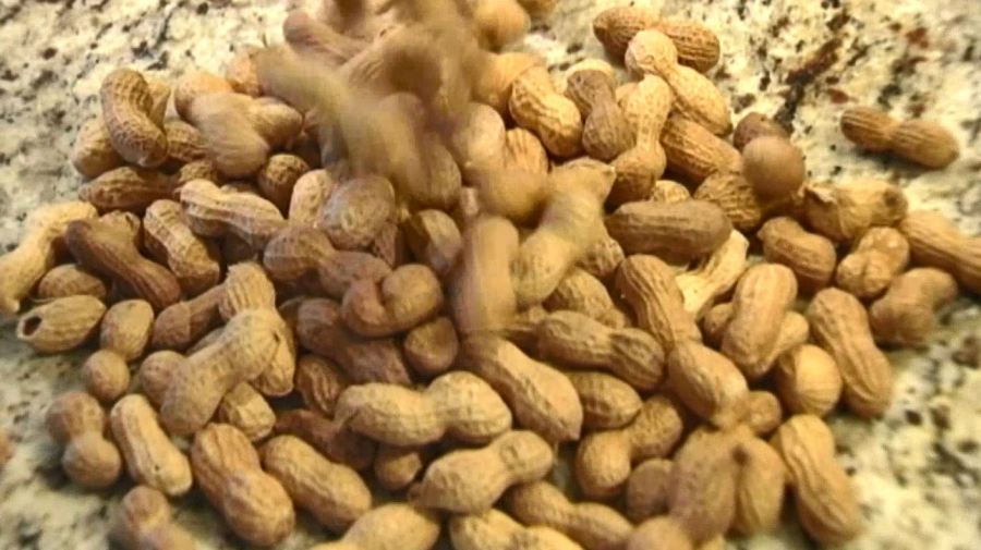 peanuts_344569