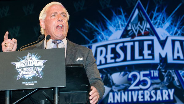 r-ric-flair-mug-background_343738