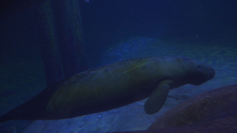 agua_354628