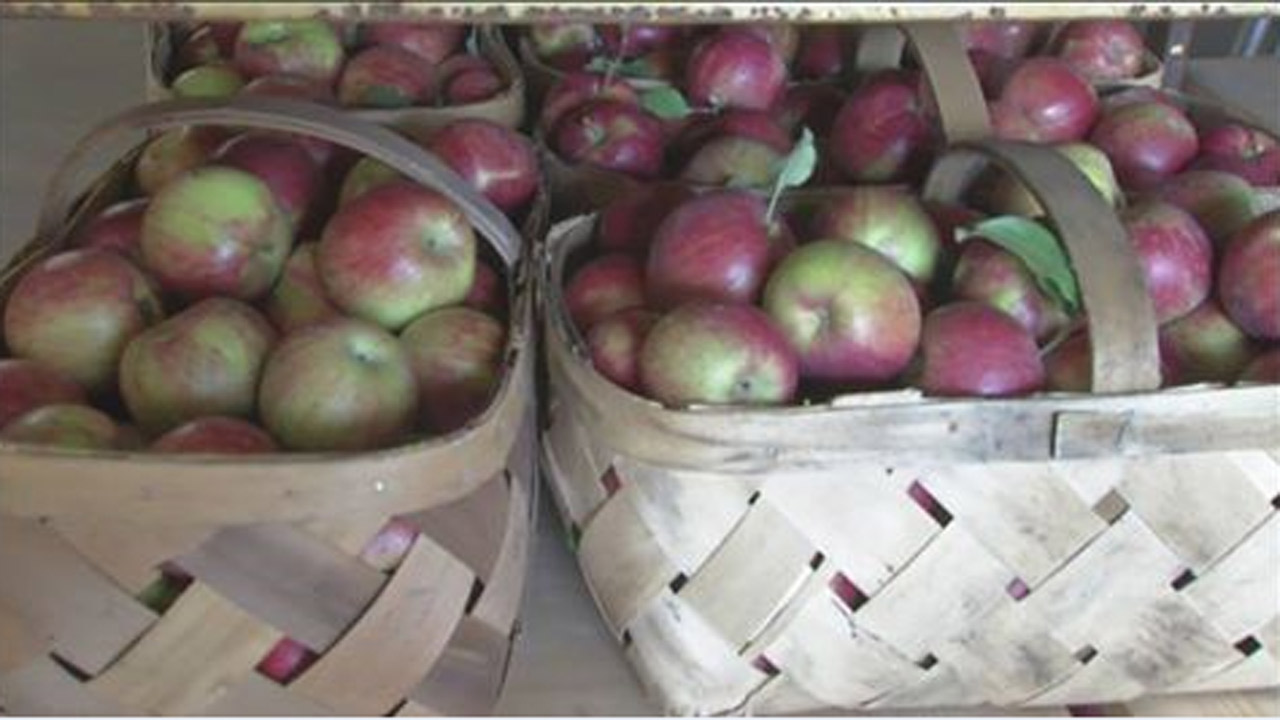 apples_179385