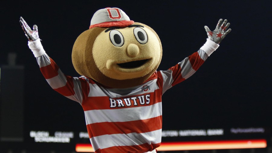 brutus_311099