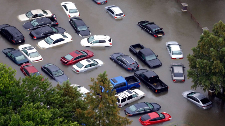 flooded-cars_348011