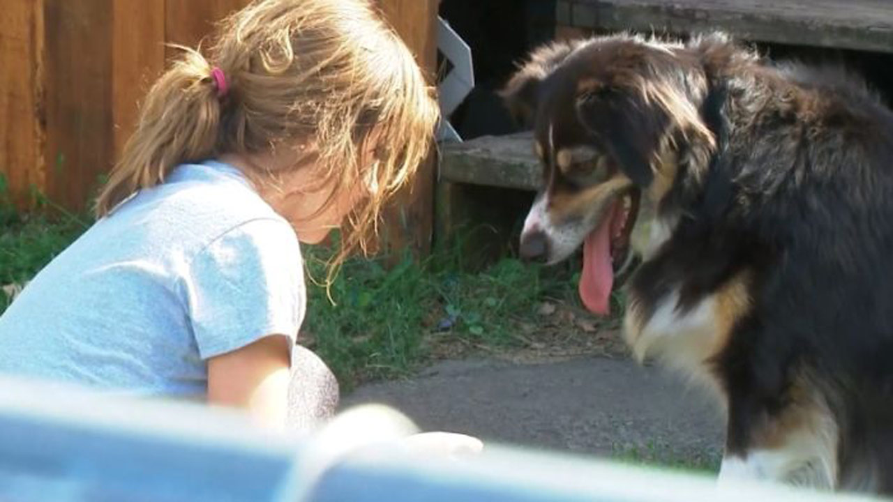 GIRL-WITH-DOG_353340