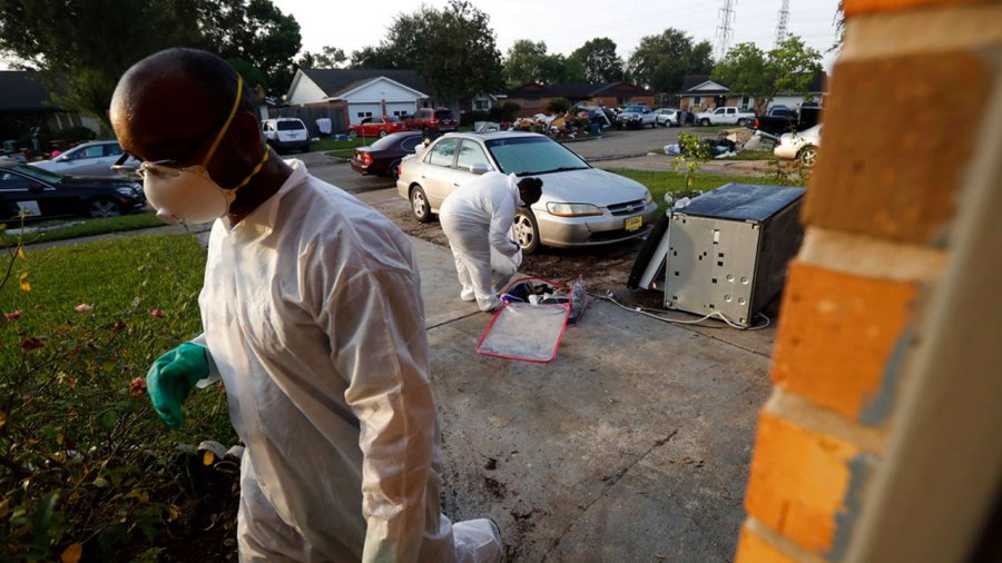 harvey-cleanup_347834