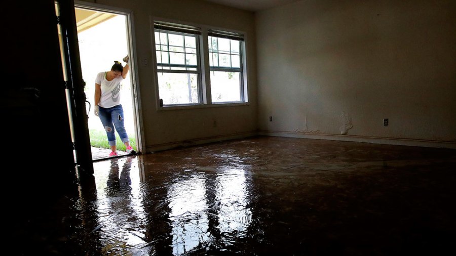 harvey-flooding_348153