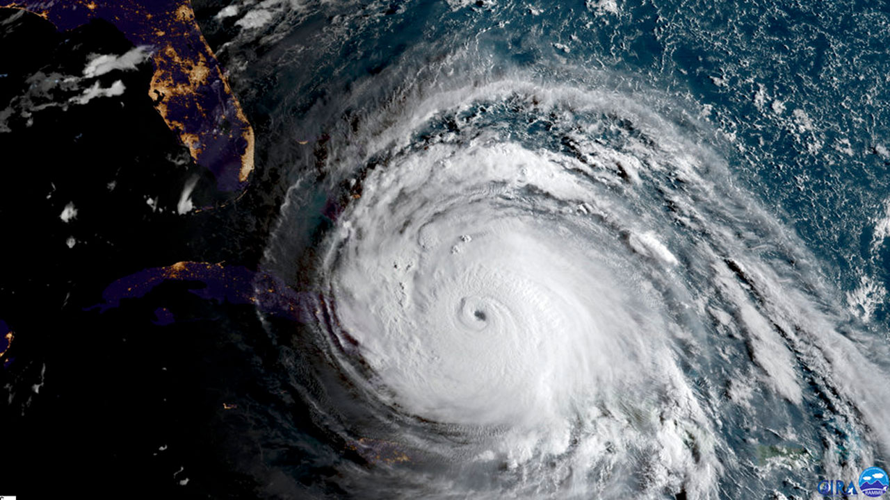 irma_349432