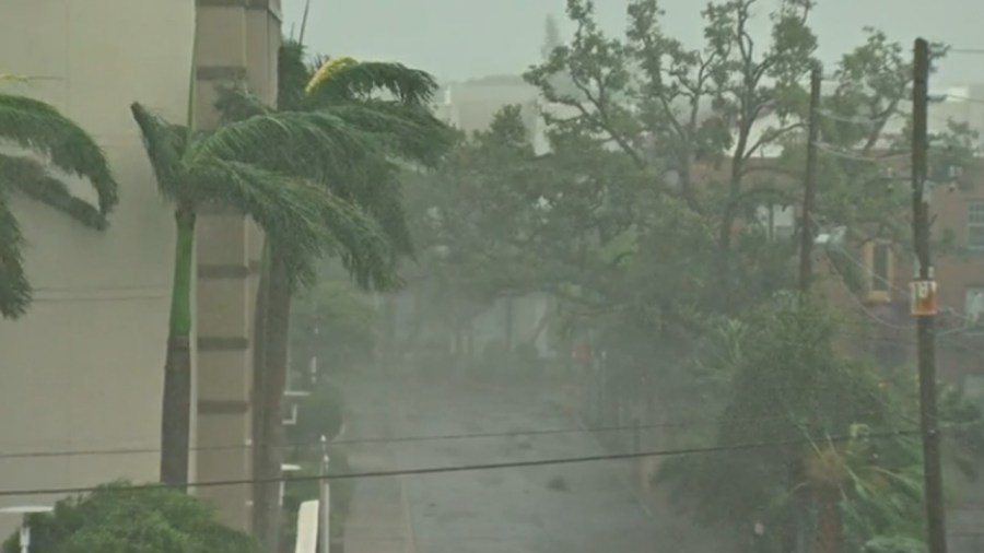 irmastorm_349921