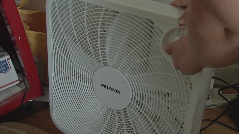 LIFECARE FANS_353393