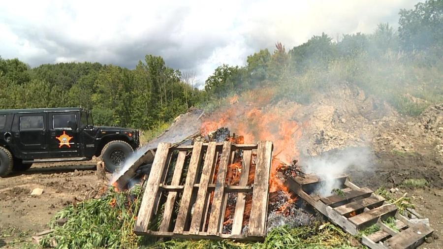 pot-burn_349158