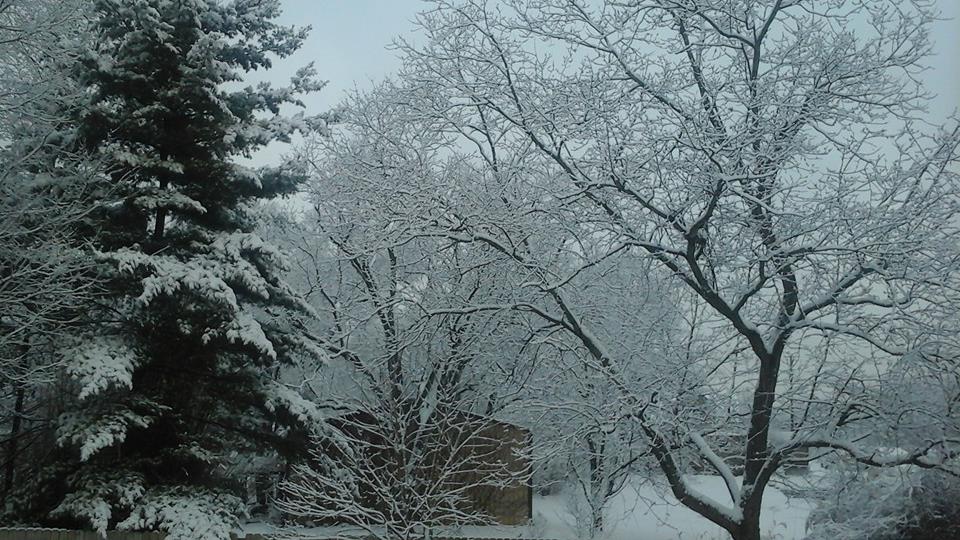 snow1_95511