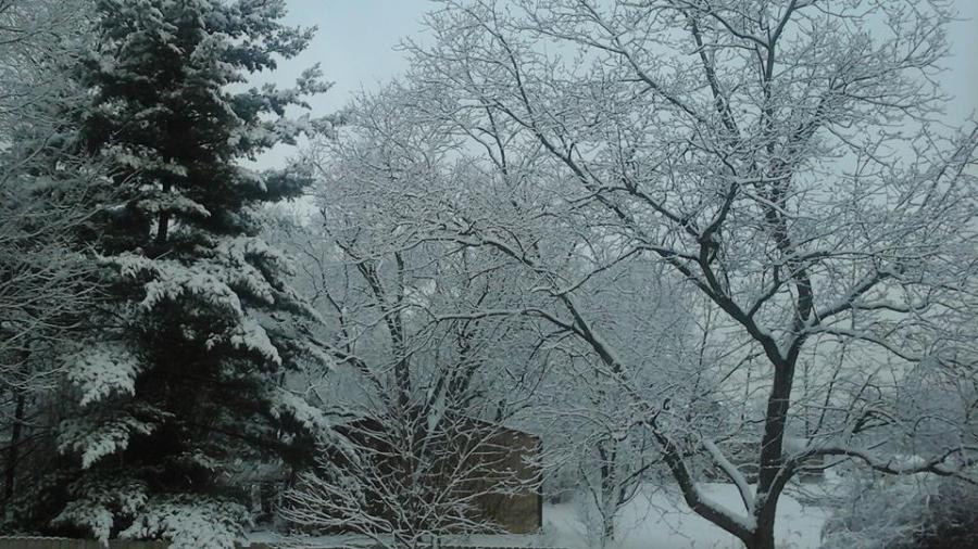snow1_95511