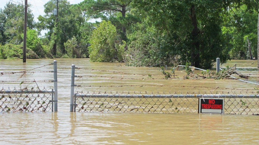 Harvey-Toxic Sites Underwater_347857