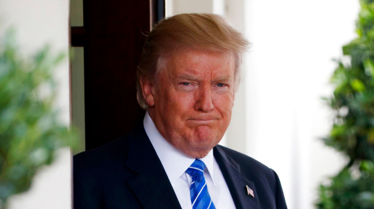 trumpweb_350484