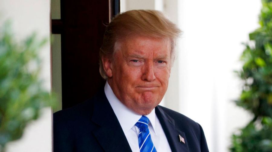 trumpweb_350484