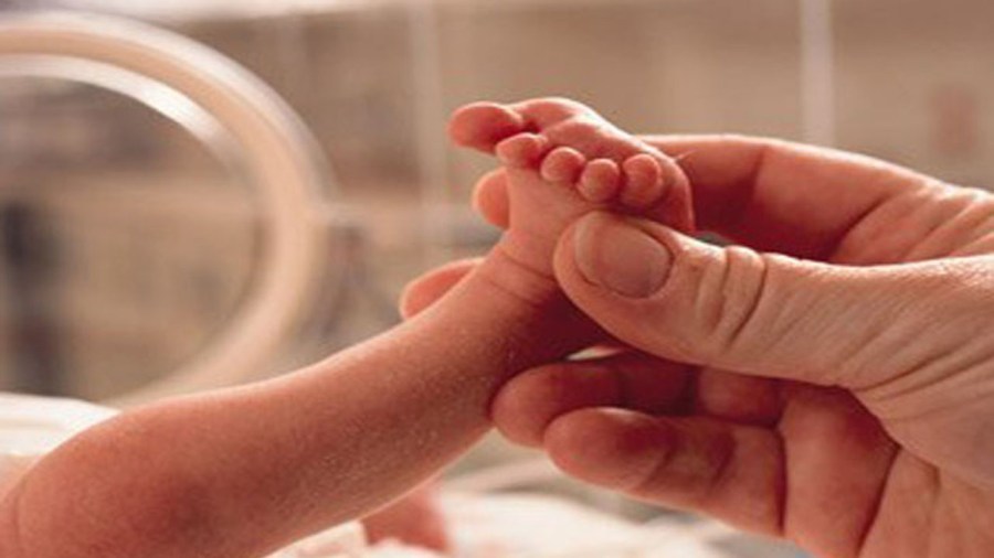babyweb_198845