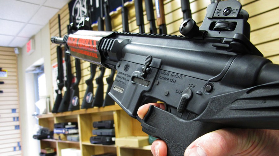 Semiautomatic rifle_355558