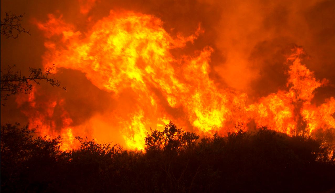 calfire_356499