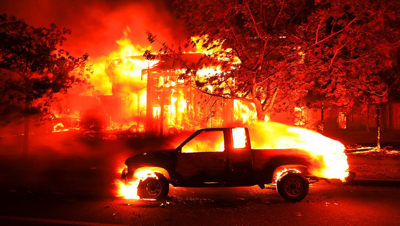 calfires_356695