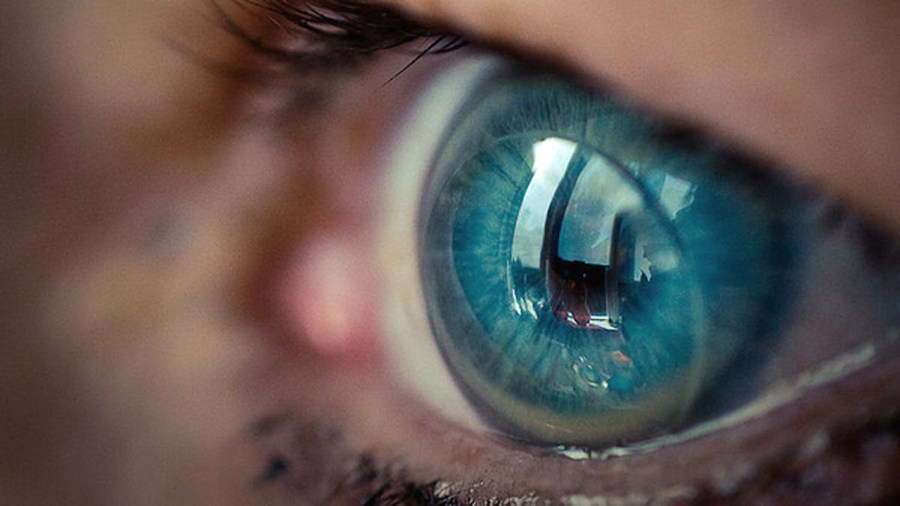 contacts_361409