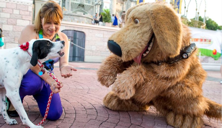 dogdisney_357538