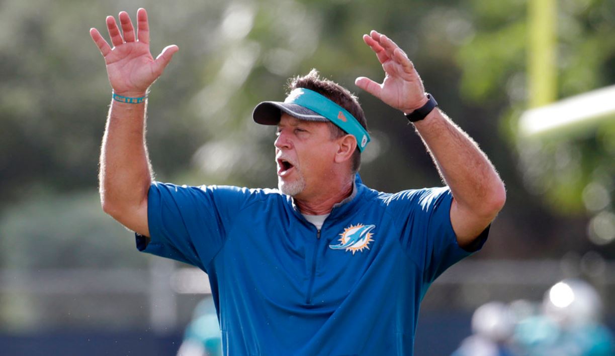 dolphinscoach_356496