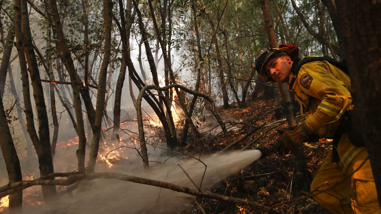 fire_357412
