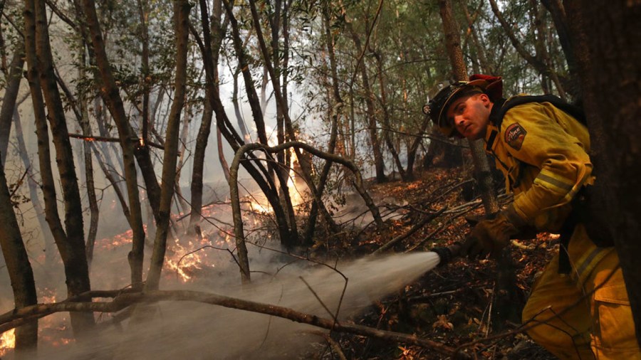 fire_357412
