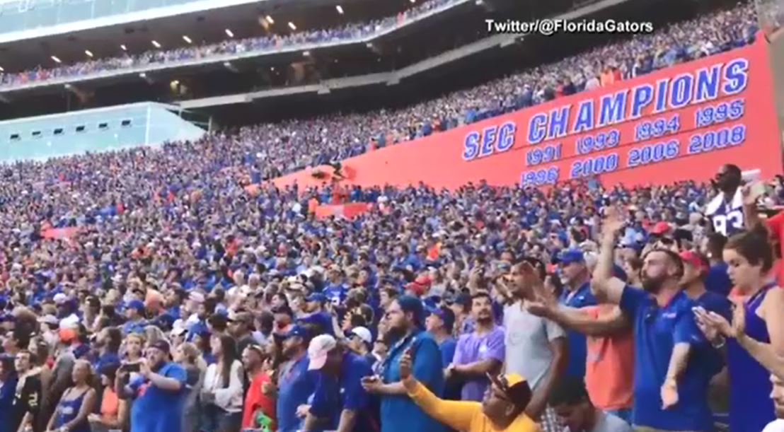 gators_356428