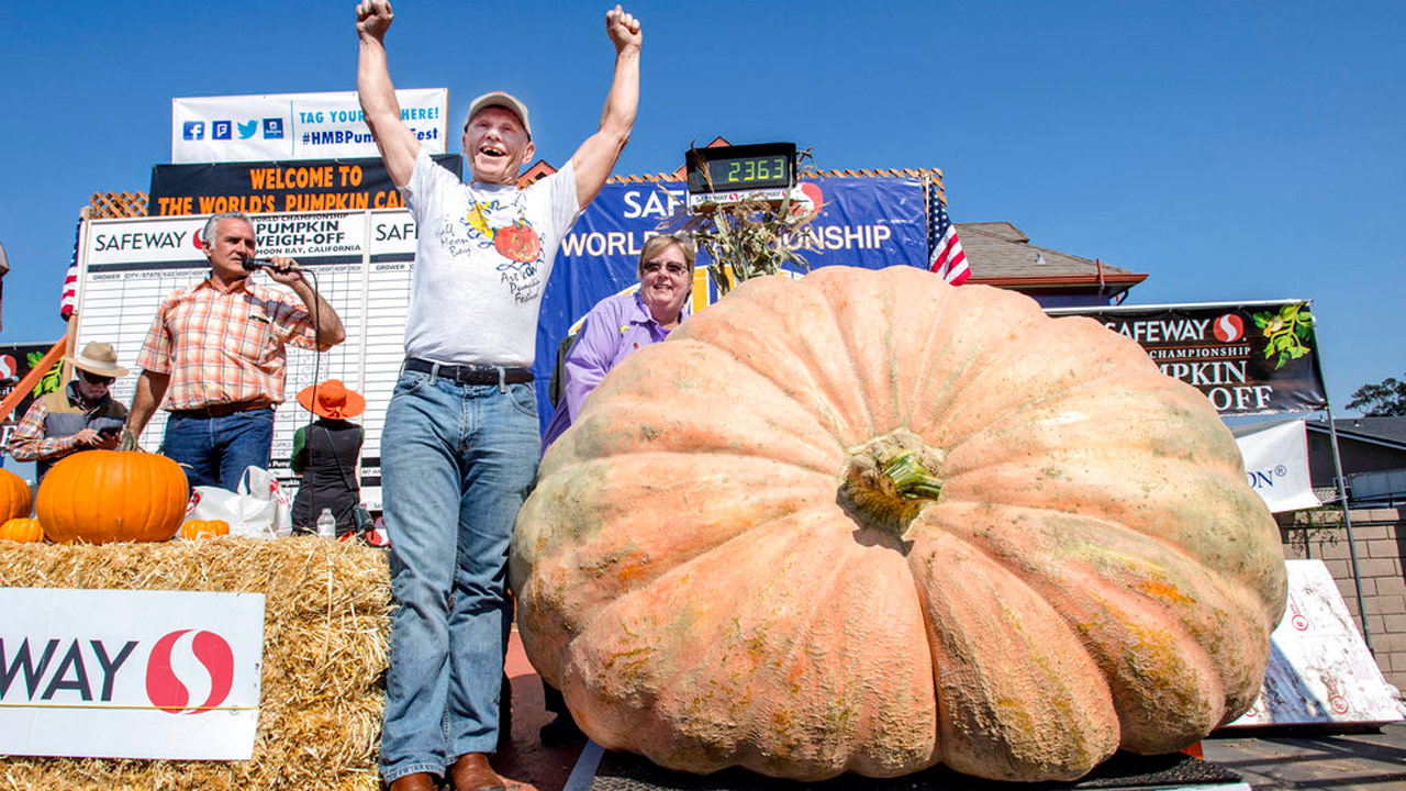 giant-pumpkin_357040