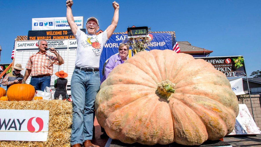 giant-pumpkin_357040