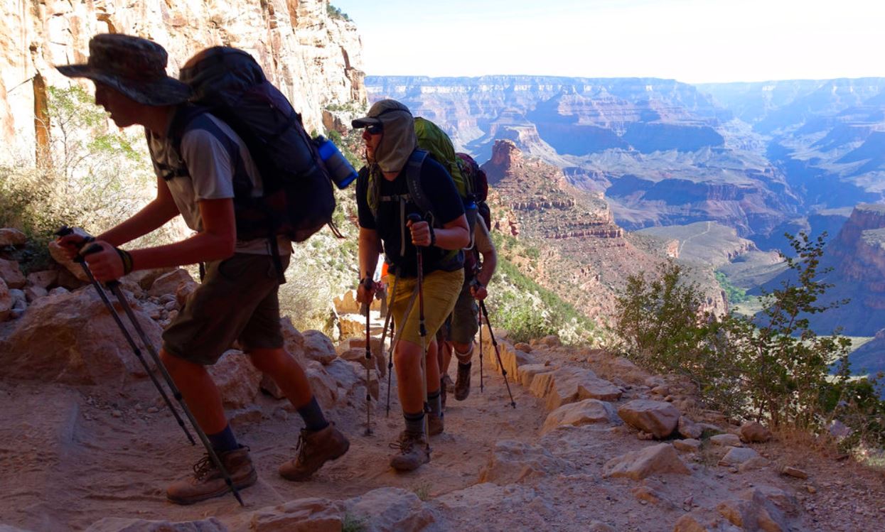 grand canyon_360565