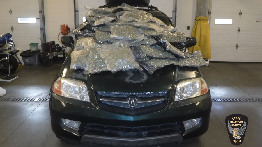 pot bust osp_361226